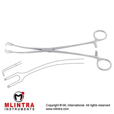 Schroeder Tenaculum Forcep Curved - 2 x 2 Teeth Stainless Steel, 23.5 cm - 9 1/4" Schroeder Tenaculum Forcep Curved - 2 x 2 Teeth Stainless Steel, 23.5 cm - 9 1/4"